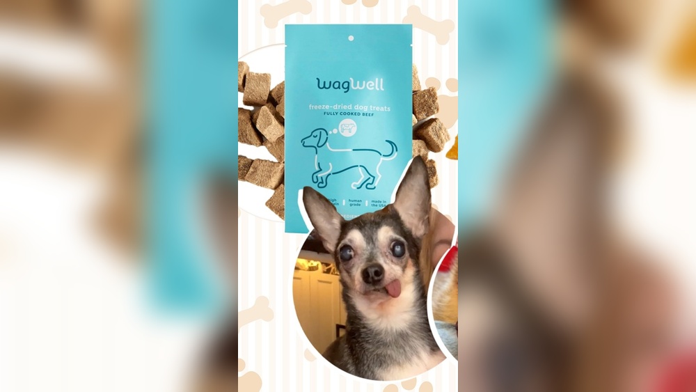 Best Soft Treats for Dogs With No Teeth