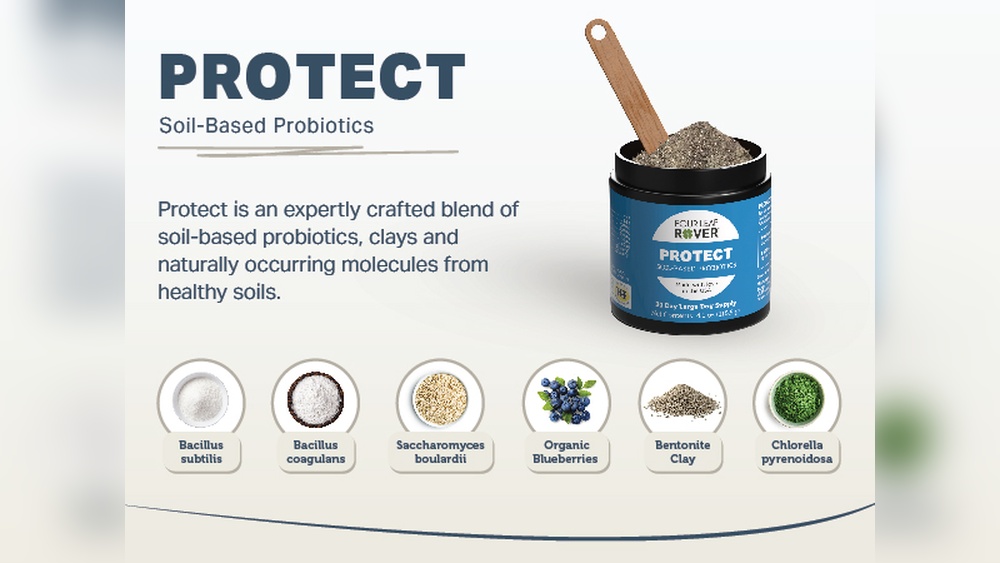Best Soil Based Probiotics for Dogs