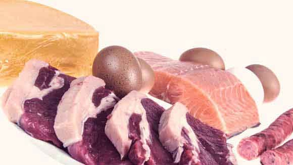 Best Source of Protein for Dogs