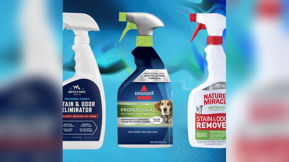 Best Spray to Eliminate Dog Urine Odor