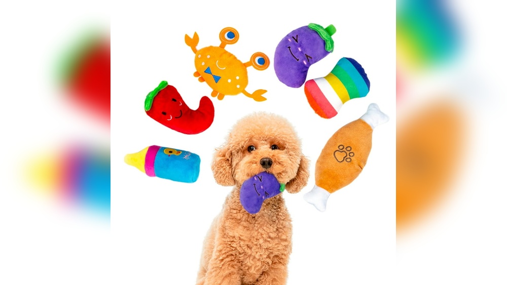 Best Squeaky Toys for Small Dogs