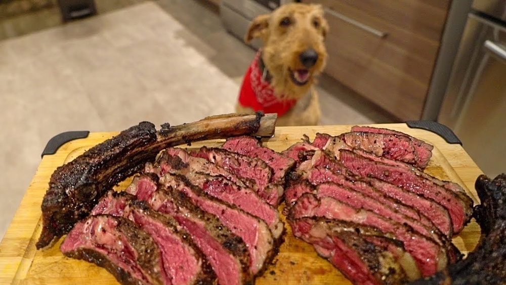 Best Steak for Dogs Birthday