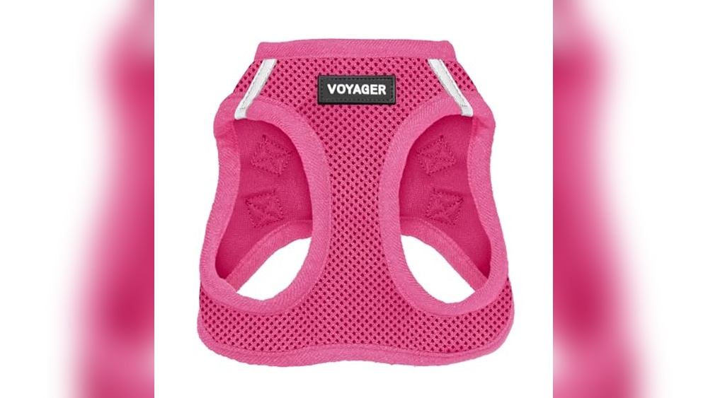 Best Step in Harness for Small Dogs