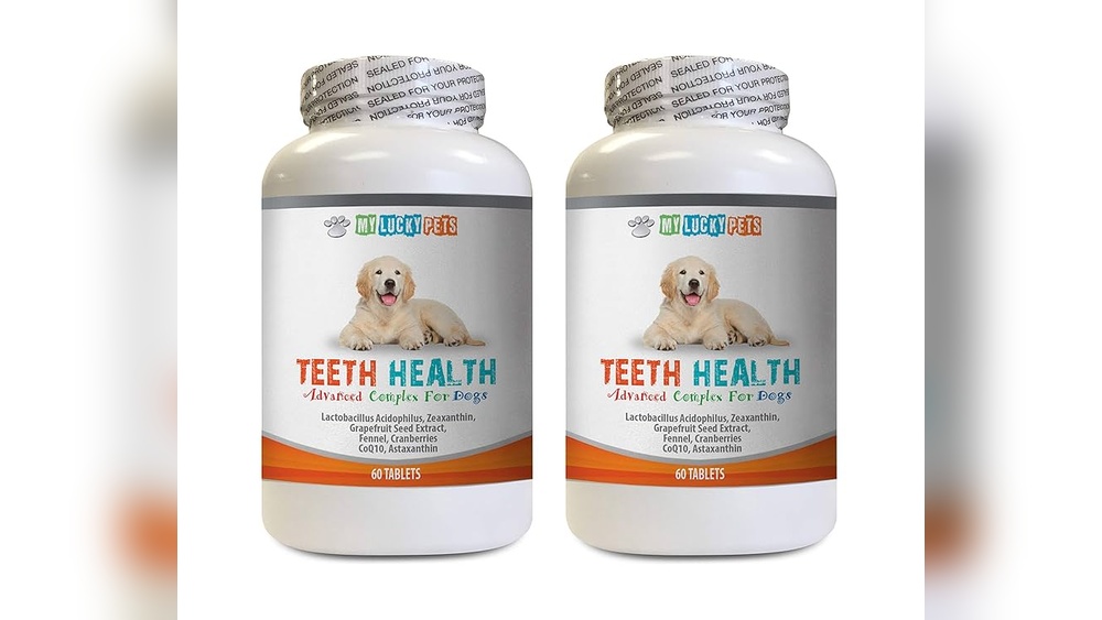 Best Supplement for Dogs Teeth