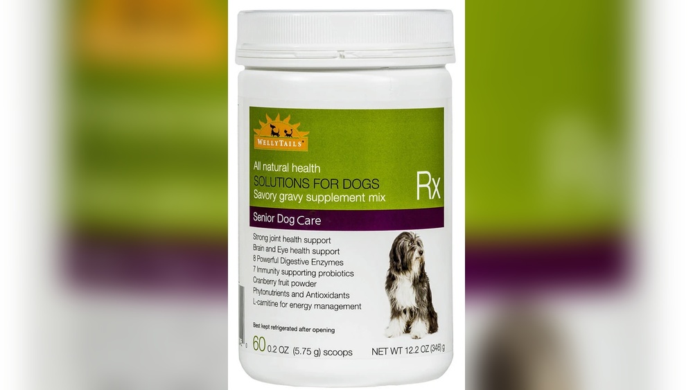 Best Supplement for Senior Dogs