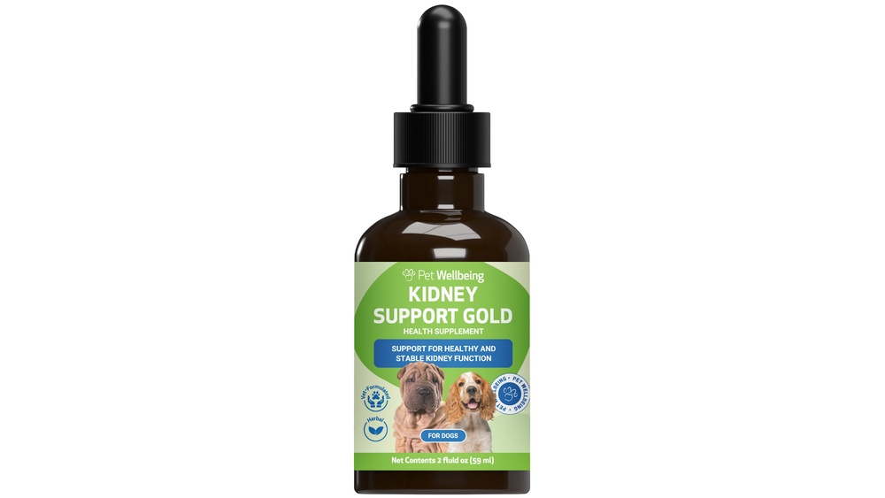 Best Supplements for Dogs With Kidney Disease