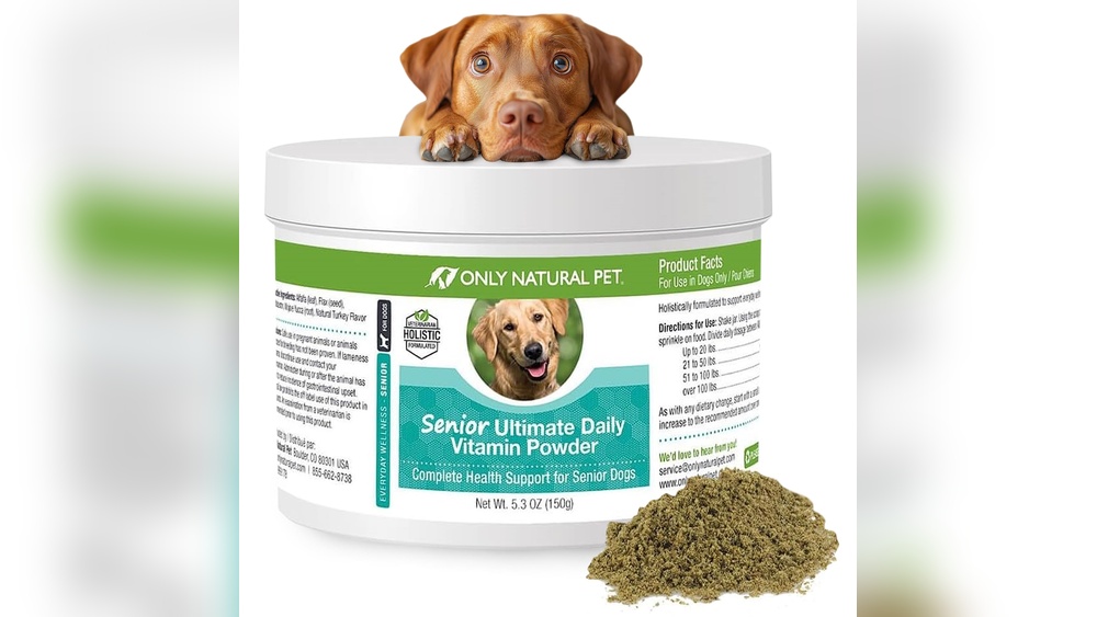 Best Supplements for Old Dogs