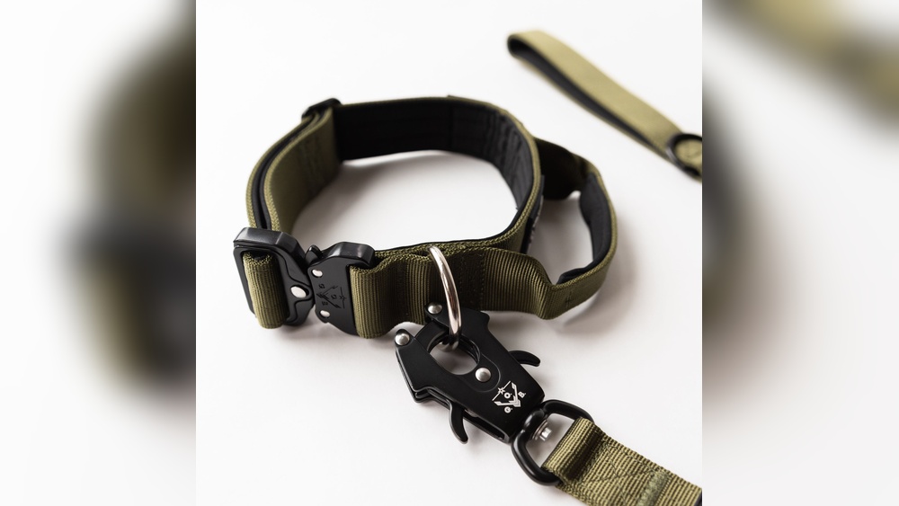 Best Tactical Collars for Dogs