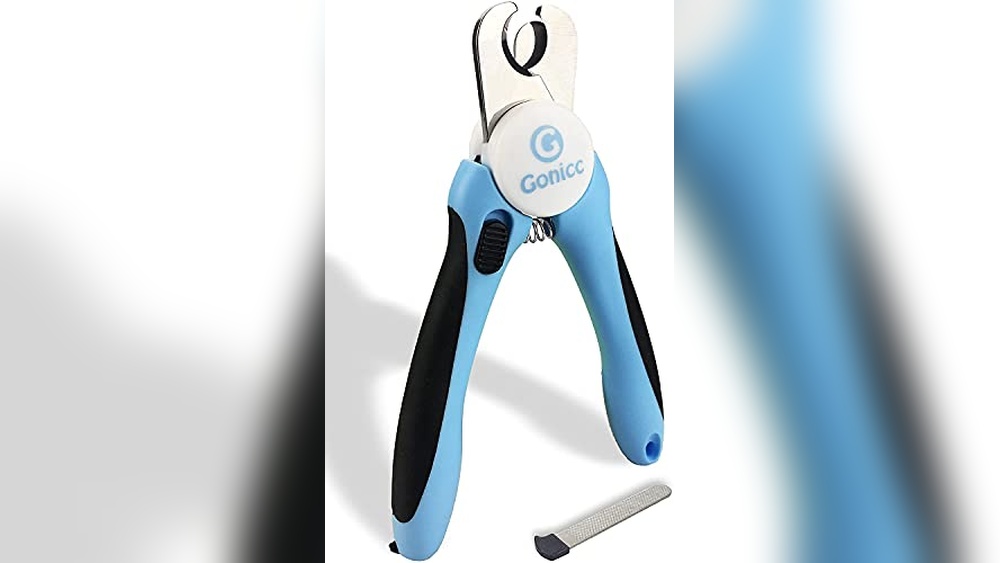 Best Tool for Cutting Dog Nails
