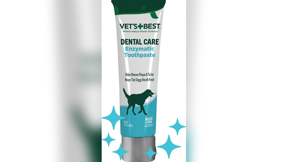 Best Toothpaste for Dogs Bad Breath