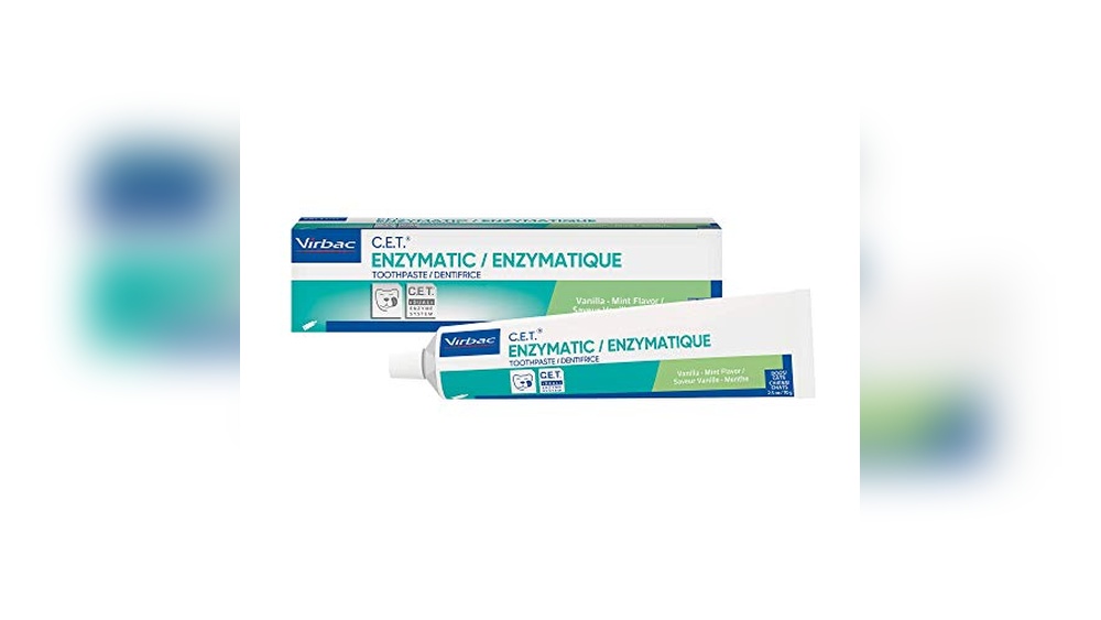Best Toothpaste for Dogs With Plaque