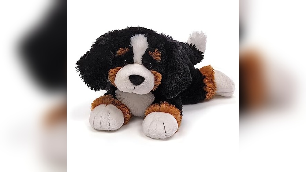 Best Toys for Bernese Mountain Dog