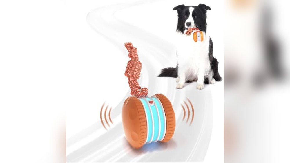 Best Toys for Dogs When Home Alone