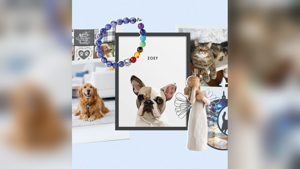 Best Toys for Grieving Dogs