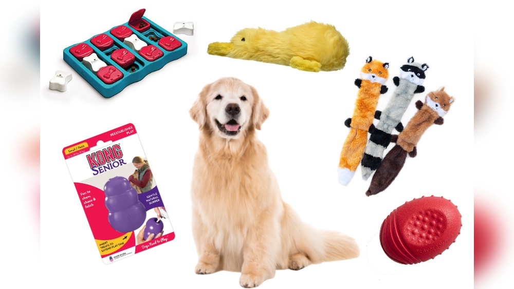 Best Toys for Senior Dogs