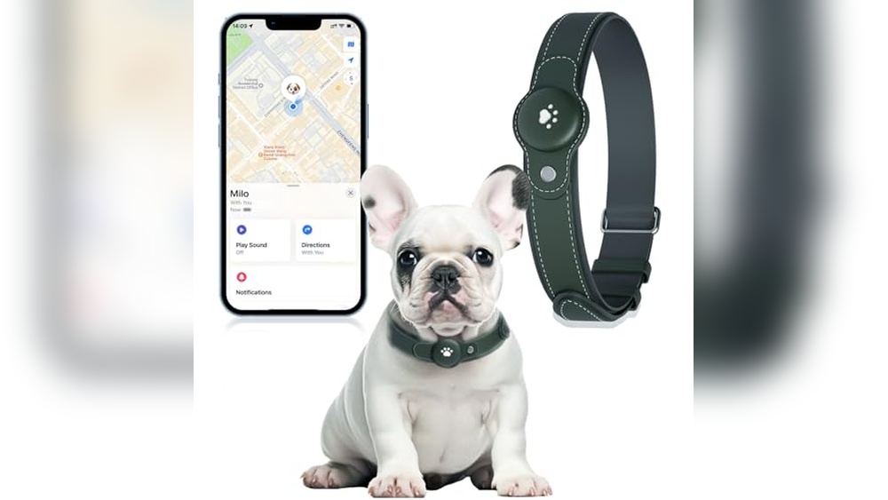 Best Tracker for Small Dogs