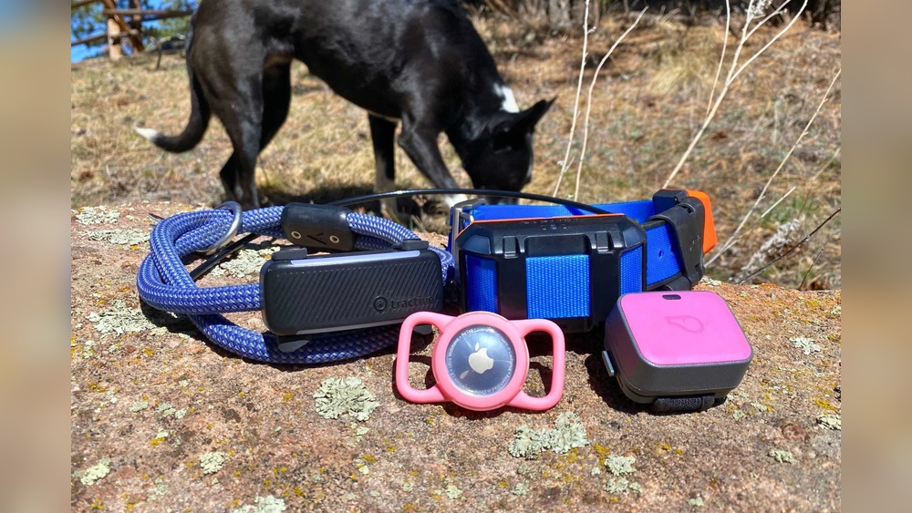 Best Tracker for Small Dogs