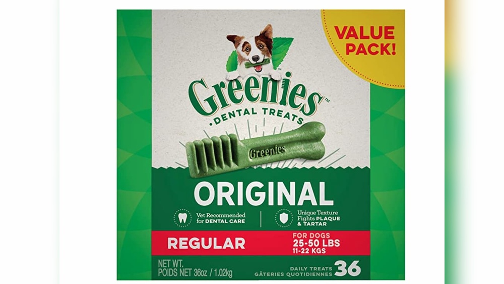 Best Treatment for Dog Breath