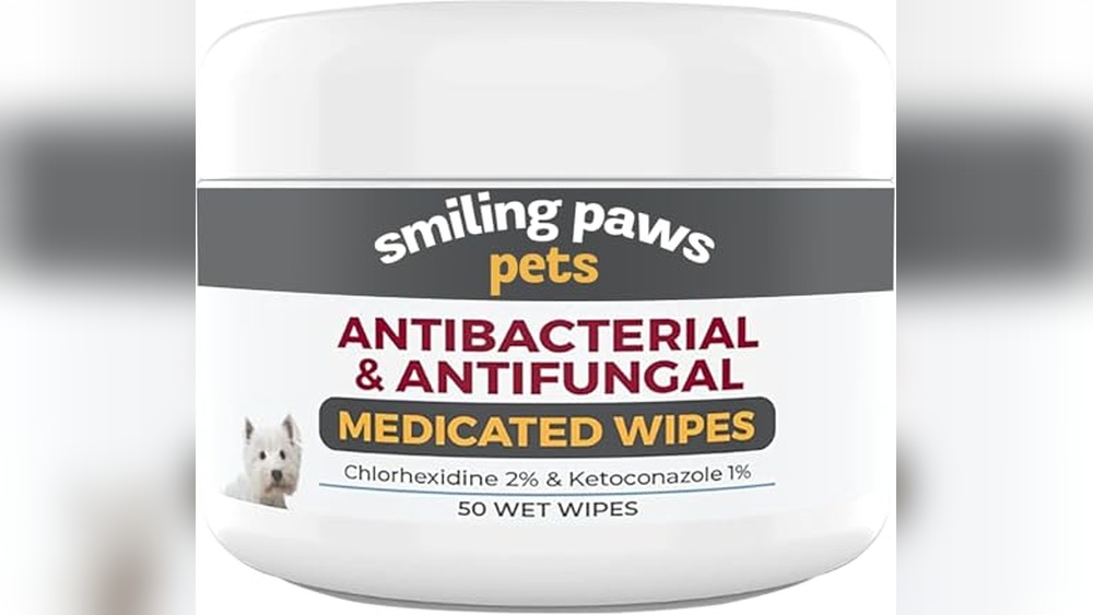 Best Treatment for Dog Paw Yeast Infection