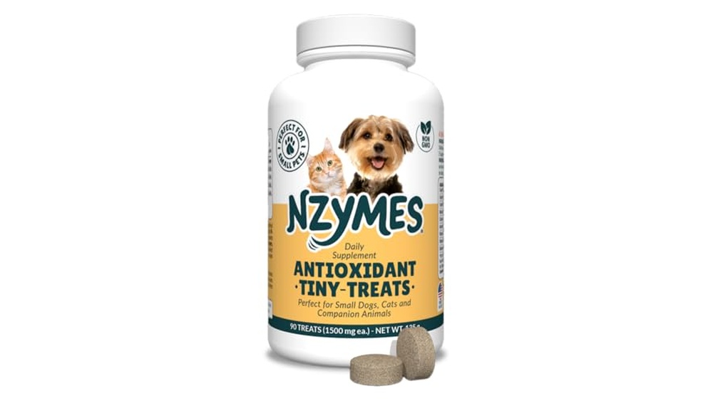 Best Treats for Dogs With Seizures