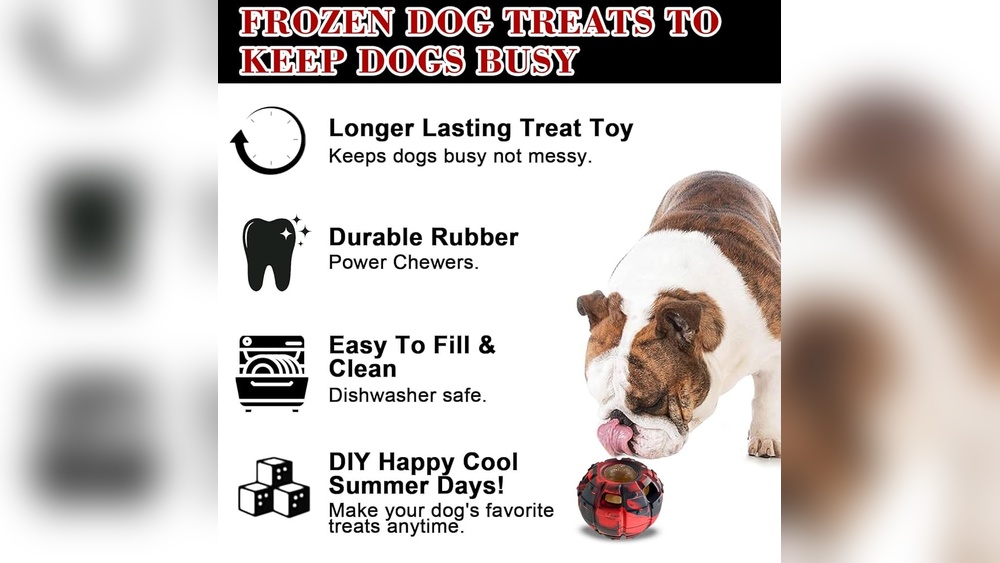 Best Treats to Keep Dogs Busy