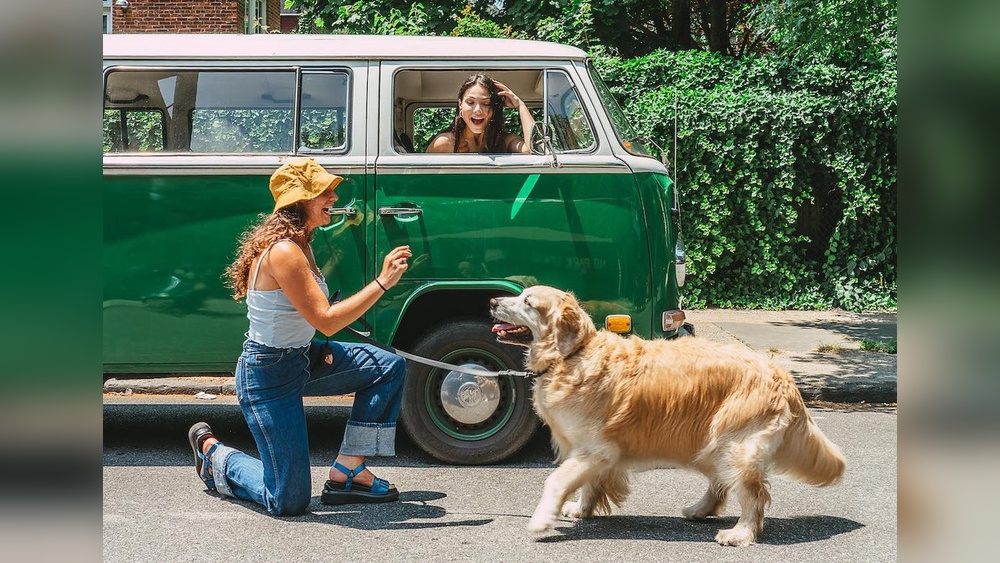 Best Trips to Take With Your Dog