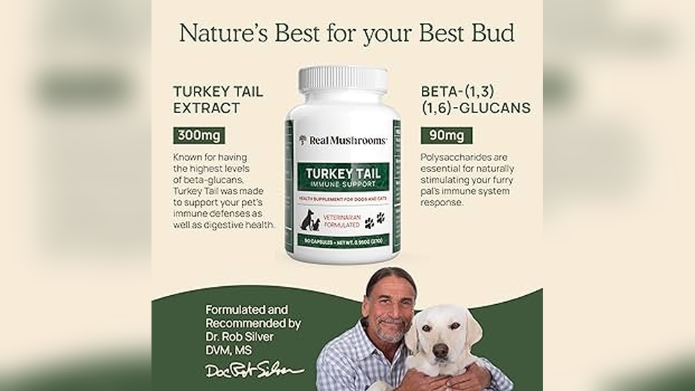 Best Turkey Tail Mushroom Supplement for Dogs