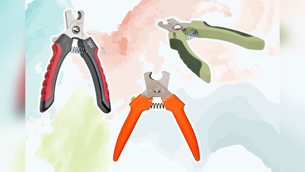 Best Type of Dog Nail Clippers