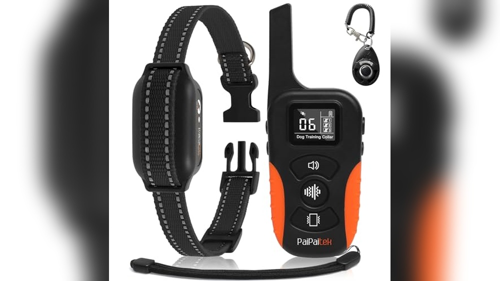 Best Vibrate Collar for Dogs: Top No-Shock Training Collars Reviewed