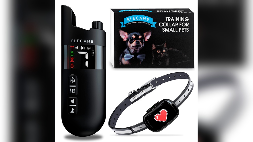 Best Vibrate Collar for Dogs