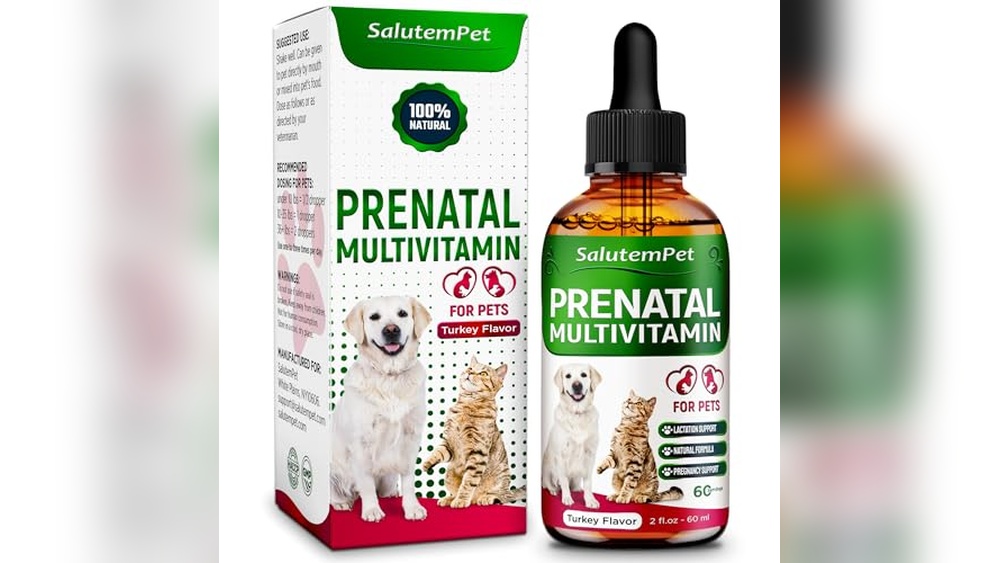 Best Vitamins for Lactating Dogs