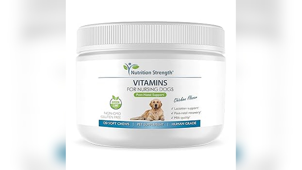 Best Vitamins for Lactating Dogs
