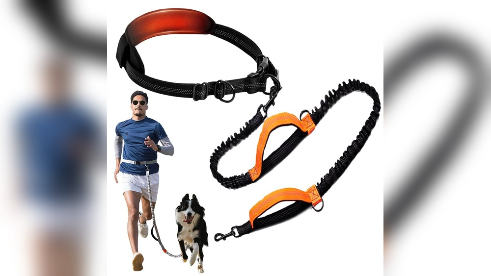 Best Waist Leash for Dogs