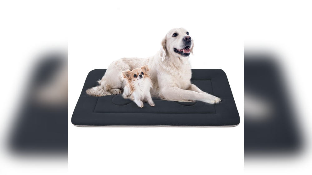 Best Washable Dog Crate Pad