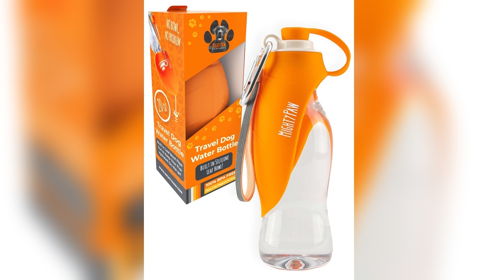 Best Water Bottles for Dogs