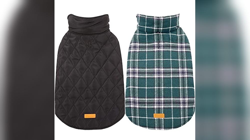 Best Waterproof Coats for Dogs
