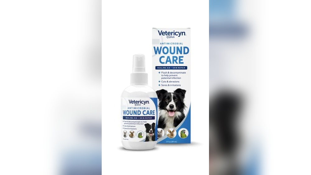 Best Way to Clean Dog Wound