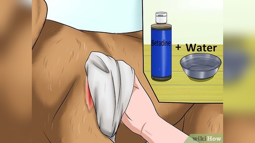Best Way to Clean Dog Wound
