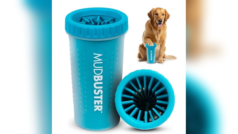 Best Way to Clean Dogs Paws