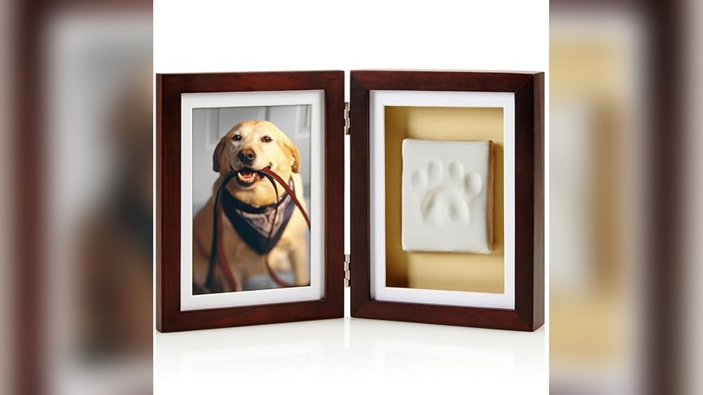 Best Way to Get a Dog Paw Print