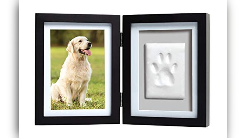 Best Way to Get Dogs Paw Print