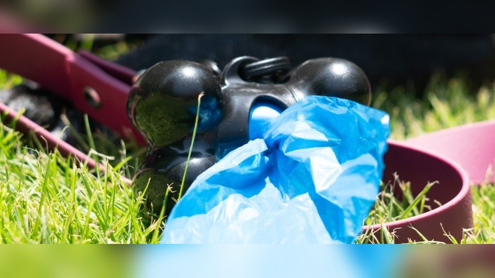 Best Way to Pick Up Dog Poop in Yard