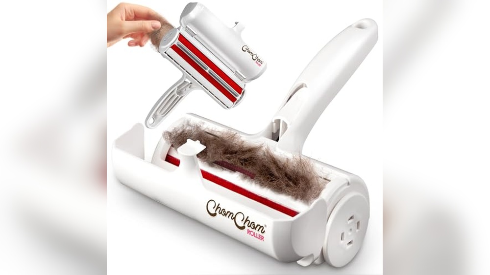 Best Way to Remove Dog Hair from Blankets with Top Pet Hair Removers