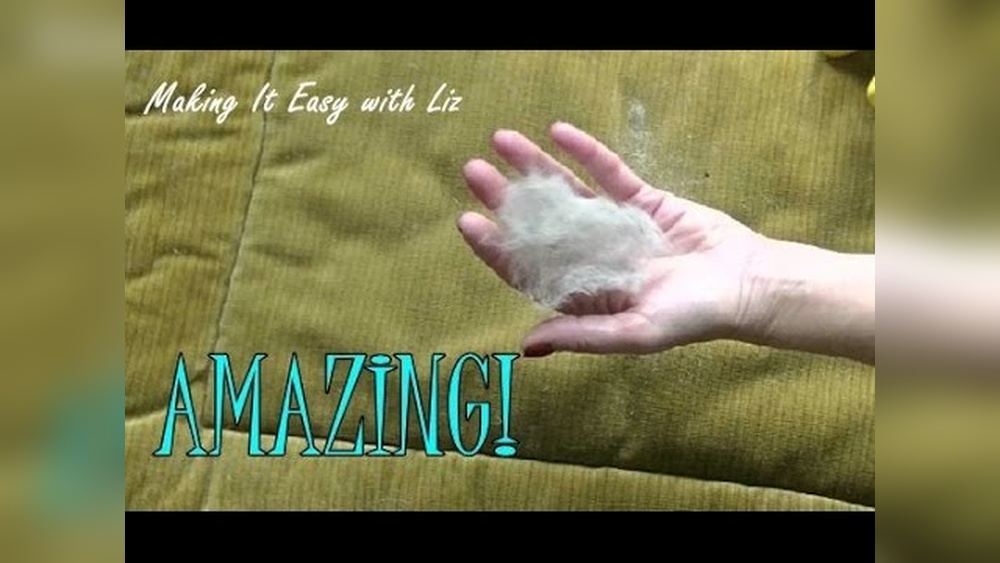 Best Way to Remove Dog Hair from Blankets