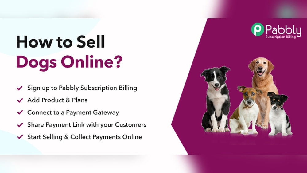 Best Way to Sell Dogs: Proven Tips for Quick, Safe Sales