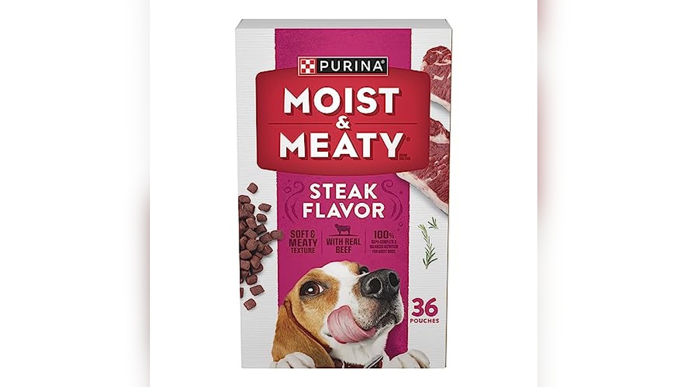 Best Way to Soften Dog Food