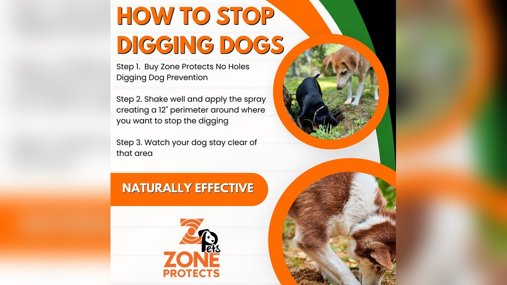 Best Way to Stop Dogs from Digging