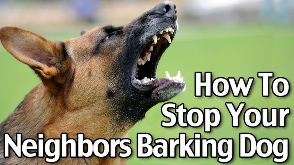 Best Way to Stop Neighbors Dog from Barking