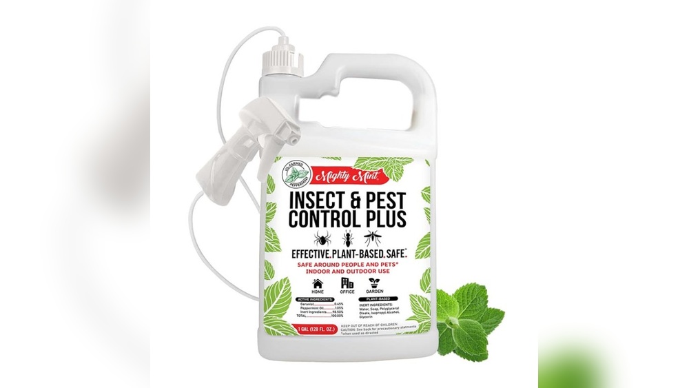Best Weed Killer Safe for Dogs