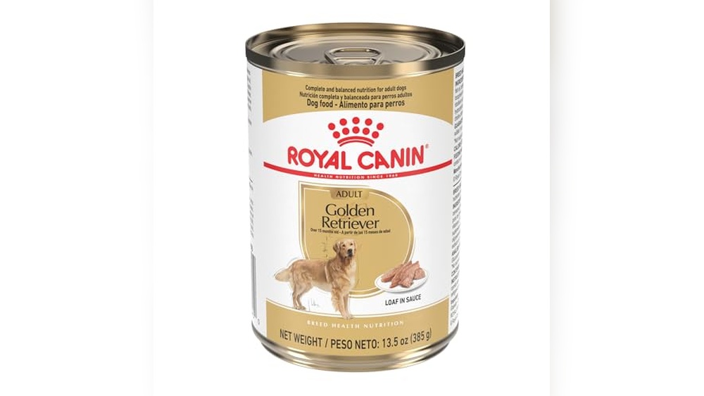 Best Wet Dog Food for Golden Retrievers
